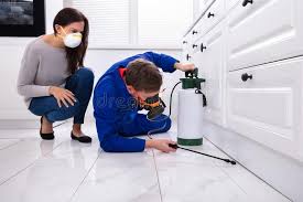 Real Estate Pest Inspections in Manson, WA